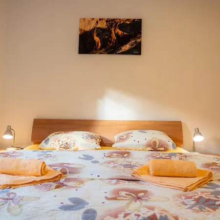 Relax House Soca Guest House Bovec Exterior photo